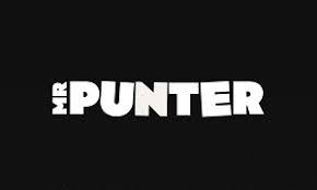 Mr Punter Gambling Establishment Review 2026